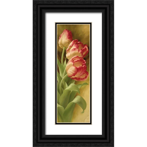 Springs Parrot Tulip II Black Ornate Wood Framed Art Print with Double Matting by Levashov, Igor