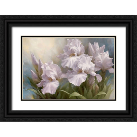 White Iris Elegance II Black Ornate Wood Framed Art Print with Double Matting by Levashov, Igor