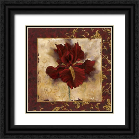 Iris Black Ornate Wood Framed Art Print with Double Matting by Henson, Richard