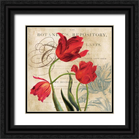 Botanists Black Ornate Wood Framed Art Print with Double Matting by Robinson, Carol