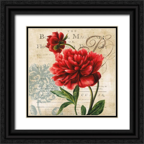 The Botanical Black Ornate Wood Framed Art Print with Double Matting by Robinson, Carol