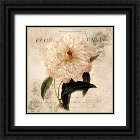 White Peony I Black Ornate Wood Framed Art Print with Double Matting by Robinson, Carol