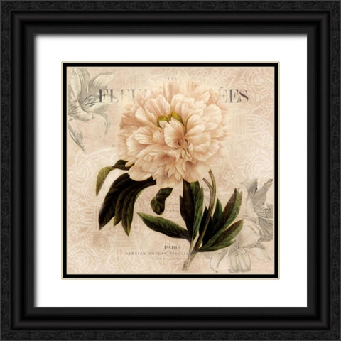 White Peony II Black Ornate Wood Framed Art Print with Double Matting by Robinson, Carol