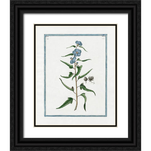 Shabby Chic Botanical I Black Ornate Wood Framed Art Print with Double Matting by Donovan, Kelly