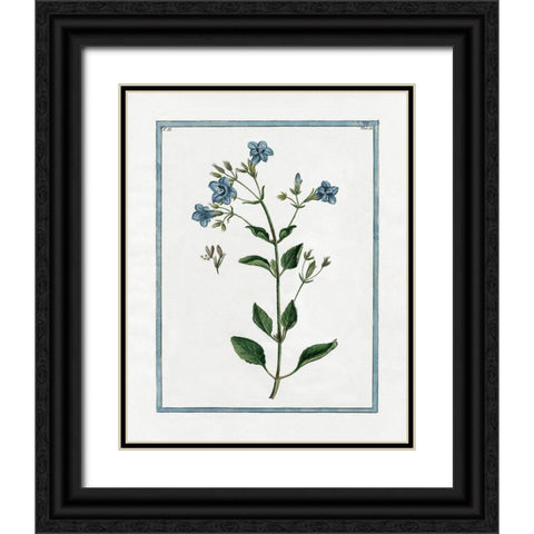Shabby Chic Botanical II Black Ornate Wood Framed Art Print with Double Matting by Donovan, Kelly