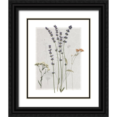 Field Study Page I Black Ornate Wood Framed Art Print with Double Matting by Robinson, Carol