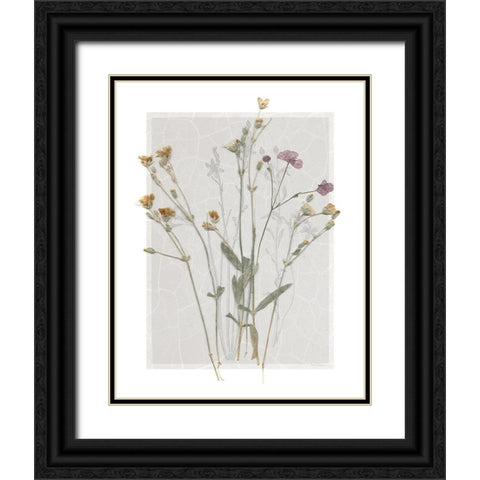 Field Study Page II Black Ornate Wood Framed Art Print with Double Matting by Robinson, Carol