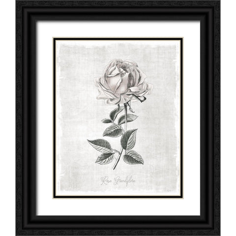 Vintage Botanical II Black Ornate Wood Framed Art Print with Double Matting by Carpentieri, Natalie
