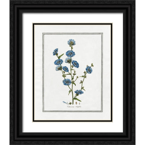 Soft Botanical I Black Ornate Wood Framed Art Print with Double Matting by CAD Designs