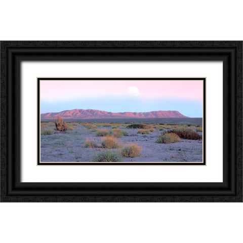Vallenar Atacama Desert Black Ornate Wood Framed Art Print with Double Matting by Delimont, Danita
