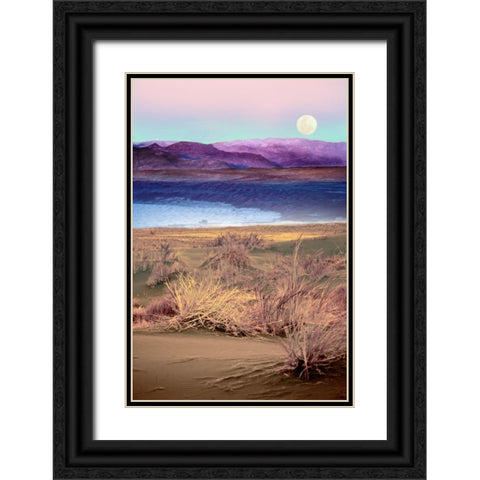 Moonrise, Namibia Black Ornate Wood Framed Art Print with Double Matting by Delimont, Danita