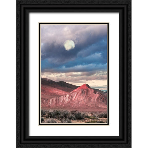 Last Light On Striped Butte Black Ornate Wood Framed Art Print with Double Matting by Delimont, Danita