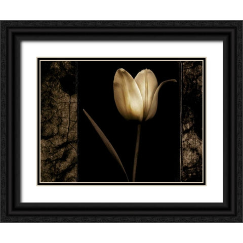 White Tulipa I Black Ornate Wood Framed Art Print with Double Matting by Filler, Rick