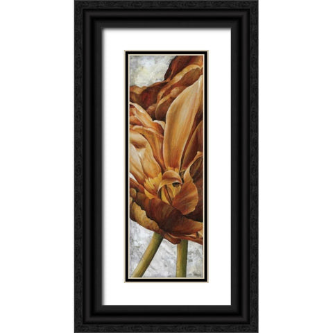 Single Appeal II Black Ornate Wood Framed Art Print with Double Matting by Thompson, Linda