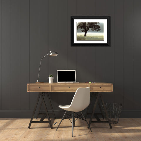 Enlighten Me Black Ornate Wood Framed Art Print with Double Matting by Frank, Assaf