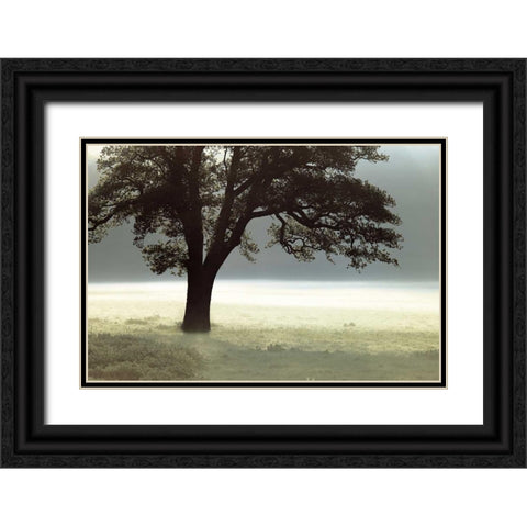 Enlighten Me Black Ornate Wood Framed Art Print with Double Matting by Frank, Assaf
