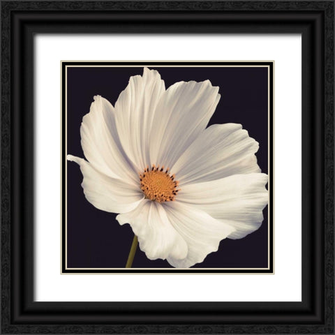 Cosmos I Black Ornate Wood Framed Art Print with Double Matting by Frank, Assaf