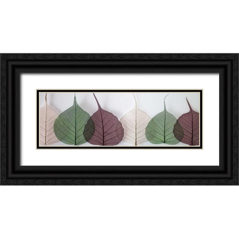 Leafy Address Black Ornate Wood Framed Art Print with Double Matting by Frank, Assaf