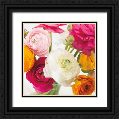 Burst of Sunshine I Black Ornate Wood Framed Art Print with Double Matting by Frank, Assaf