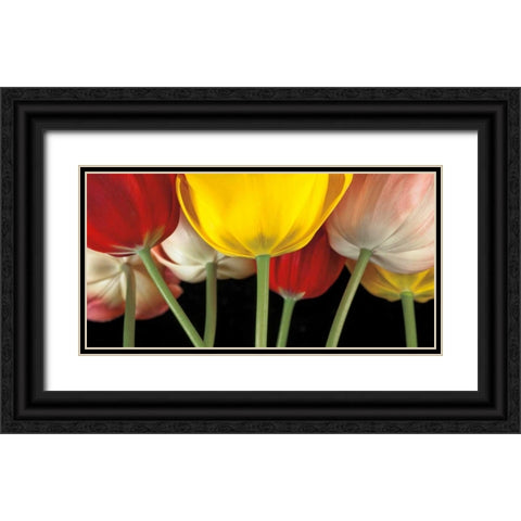 Sunshine Tulips Black Ornate Wood Framed Art Print with Double Matting by Frank, Assaf