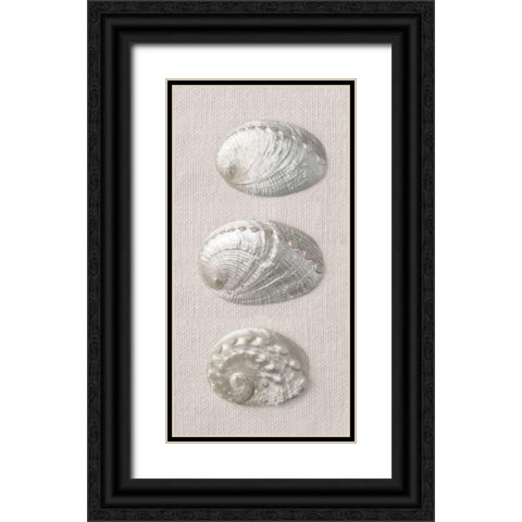 Opalescent I Black Ornate Wood Framed Art Print with Double Matting by Frank, Assaf