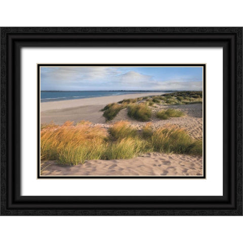 Sandy Shores Black Ornate Wood Framed Art Print with Double Matting by Frank, Assaf