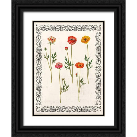 Spring Blooms II Black Ornate Wood Framed Art Print with Double Matting by Berg, Sabine