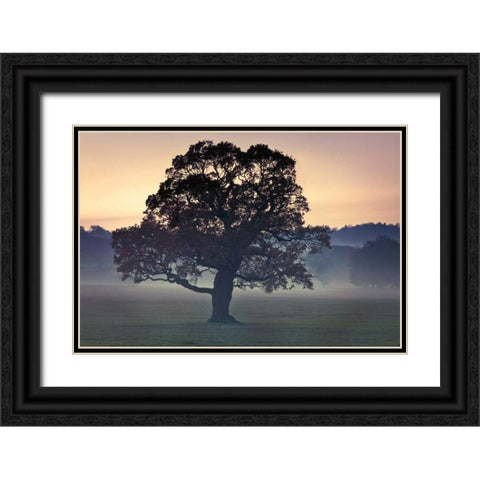 Evening Wisdom Black Ornate Wood Framed Art Print with Double Matting by Frank, Assaf