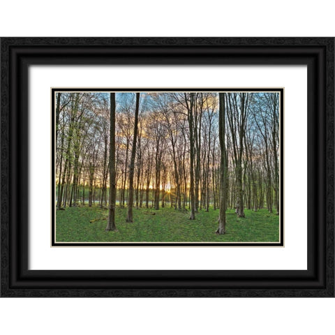 Secret Sunset Black Ornate Wood Framed Art Print with Double Matting by Frank, Assaf