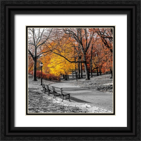 Park Pretty I Black Ornate Wood Framed Art Print with Double Matting by Frank, Assaf