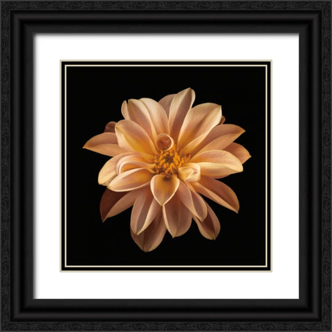 Four Keeps II Black Ornate Wood Framed Art Print with Double Matting by Frank, Assaf