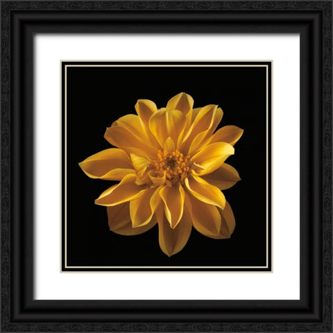 Four Keeps III Black Ornate Wood Framed Art Print with Double Matting by Frank, Assaf