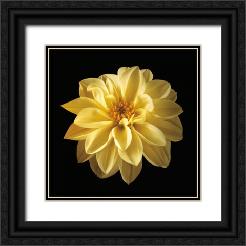 Four Keeps IV Black Ornate Wood Framed Art Print with Double Matting by Frank, Assaf