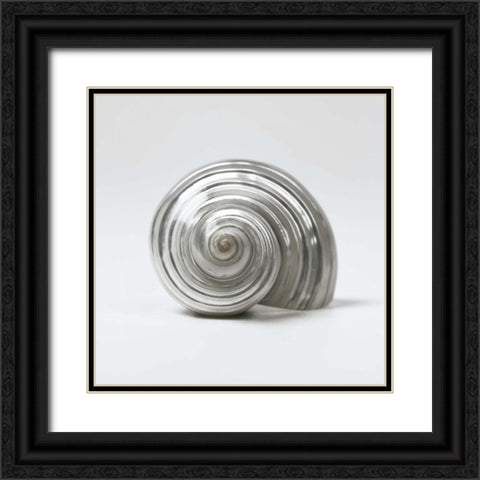 Beachside Treasure II Black Ornate Wood Framed Art Print with Double Matting by Frank, Assaf