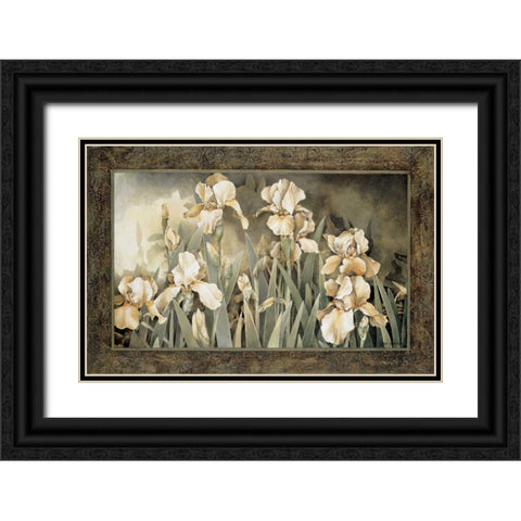 Field of Irises Black Ornate Wood Framed Art Print with Double Matting by Thompson, Linda