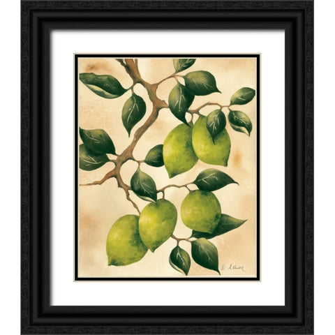 Italian Harvest - Limes Black Ornate Wood Framed Art Print with Double Matting by Allison, Doris