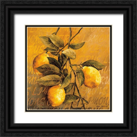 Lemon Branch Black Ornate Wood Framed Art Print with Double Matting by Thompson, Linda