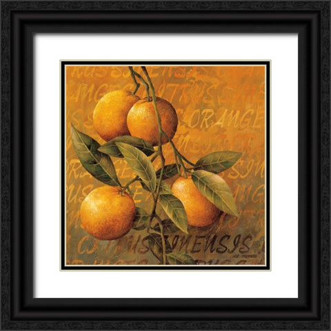 Orange Branch Black Ornate Wood Framed Art Print with Double Matting by Thompson, Linda