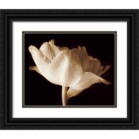 Champagne Tulip IV Black Ornate Wood Framed Art Print with Double Matting by Britt, Charles