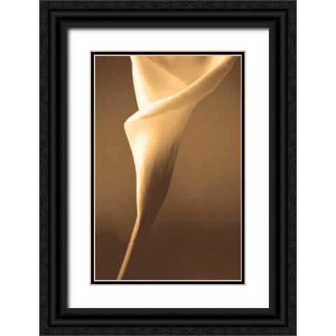 Enlightenment Black Ornate Wood Framed Art Print with Double Matting by Ryan, Cinzia