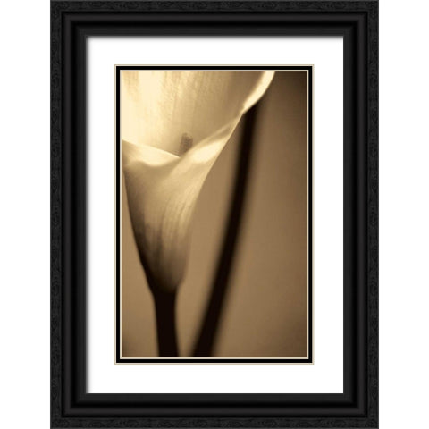 Divinity Black Ornate Wood Framed Art Print with Double Matting by Ryan, Cinzia