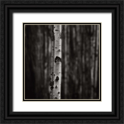 Equilibrium Black Ornate Wood Framed Art Print with Double Matting by Cook, Jamie