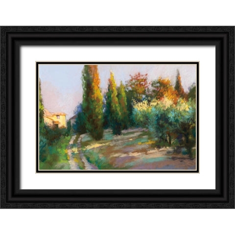 To the Villa Black Ornate Wood Framed Art Print with Double Matting by Debrosky, Christine