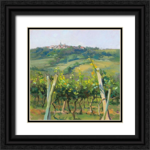 Flauvigny View Black Ornate Wood Framed Art Print with Double Matting by Debrosky, Christine