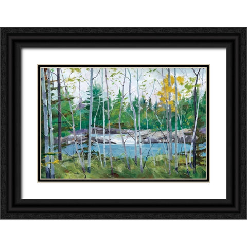 Oxtounge Rapids Black Ornate Wood Framed Art Print with Double Matting by Forsythe, Graham