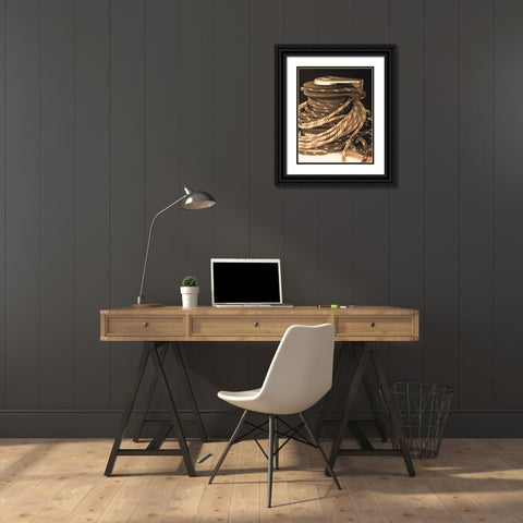 The Drasnin Nautical Series I Black Ornate Wood Framed Art Print with Double Matting by Gilboa, Marina Drasnin