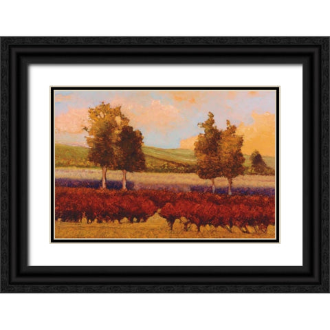 St. Pierre Black Ornate Wood Framed Art Print with Double Matting by Lovelace, Kent