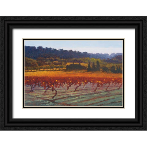 Saint Saturnin-l-Apt Black Ornate Wood Framed Art Print with Double Matting by Lovelace, Kent