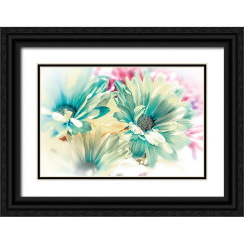 Colored Stars Black Ornate Wood Framed Art Print with Double Matting by Marie, Dina