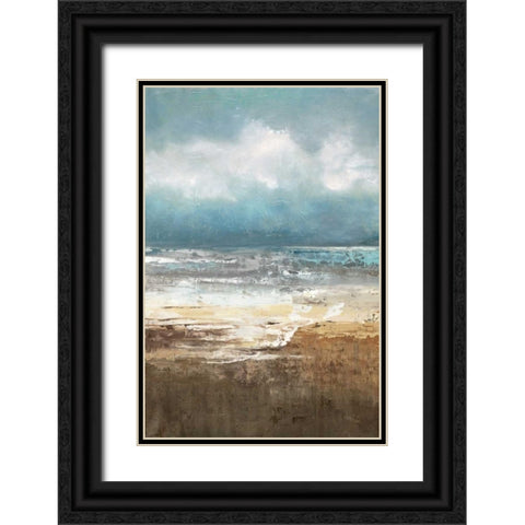 Oceanscape Black Ornate Wood Framed Art Print with Double Matting by Quintero, Tita